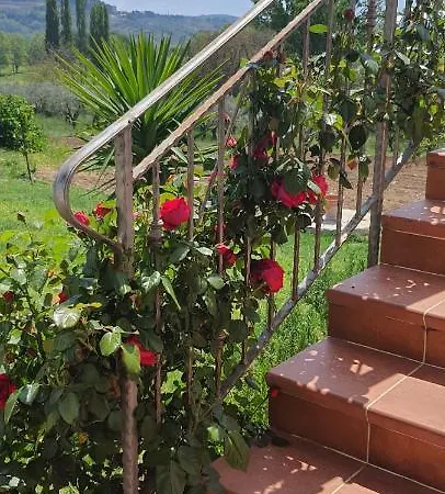 Apartment Cerreto 1 *
