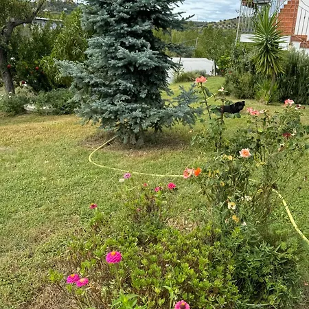 Apartment Cerreto 1 *